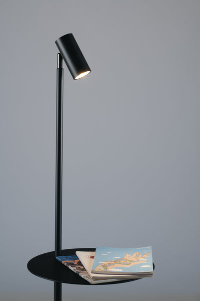 DARLLEN black floor lamp